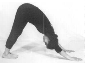 Parvatasana - The Mountain Pose